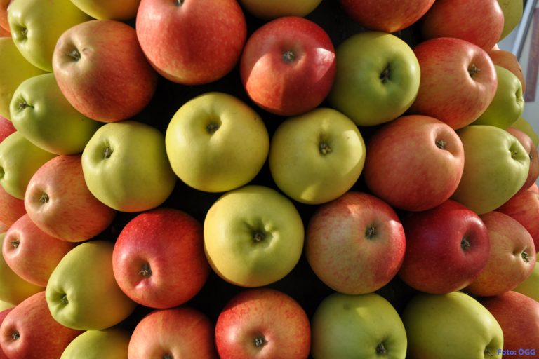 DSC_0249web Herbsttage in Wien